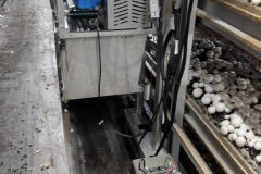 gc-backviewwithbatteries