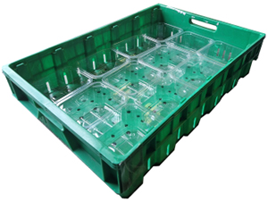 The Gamechanger Pro 12 Punnets in a Tray