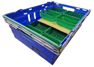 The Gamechanger Pro Plus double layered weighing & placement.