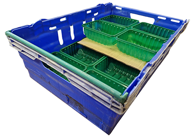 The Gamechanger Pro Plus double layered weighing & placement.