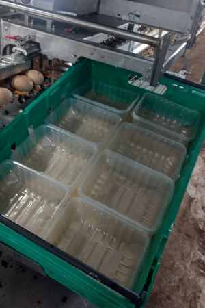 Gamechanger Pro Plus - Level Two with empty punnets